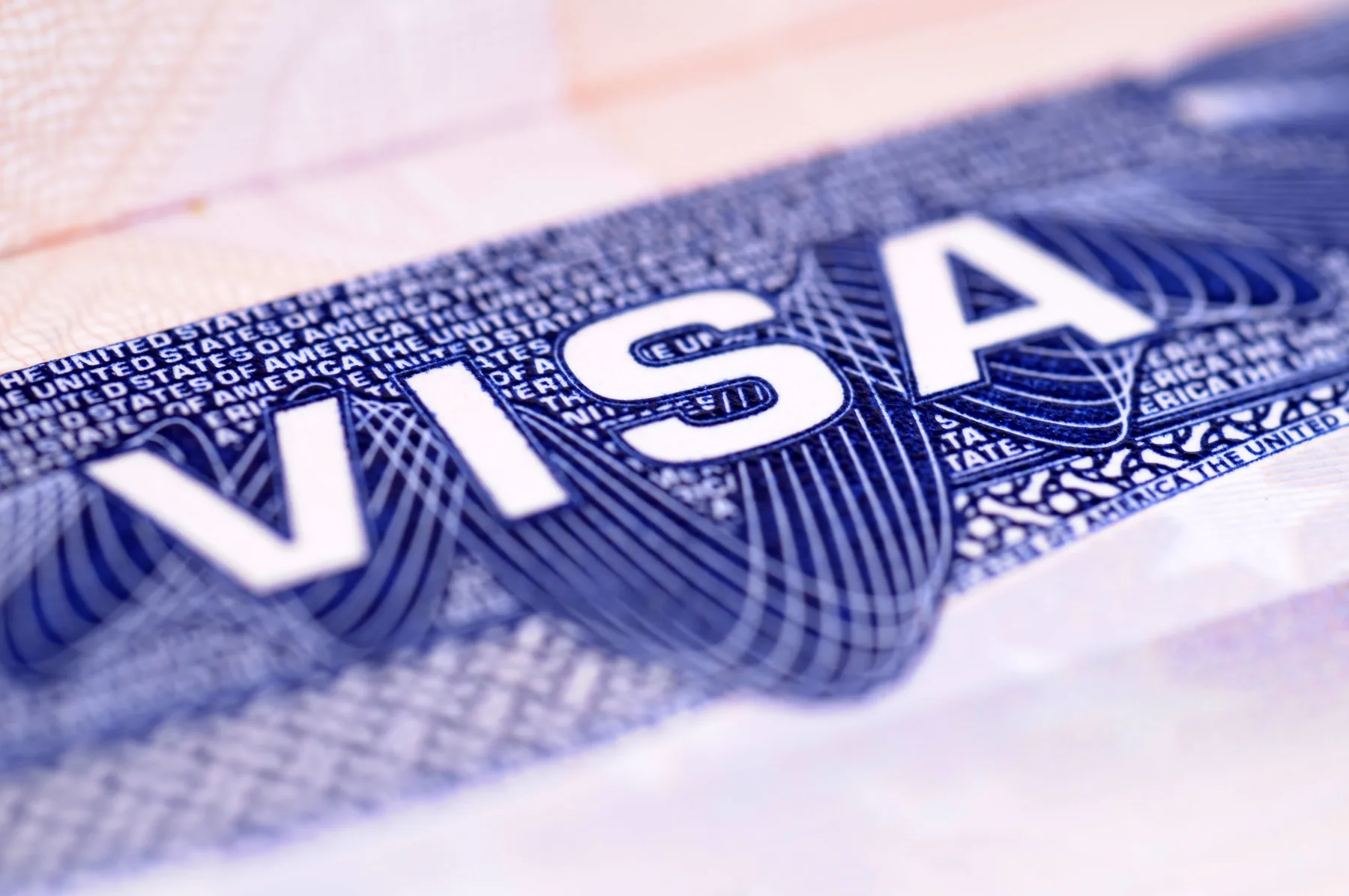 VISITOR VISA SERVICES in UNITED STATES